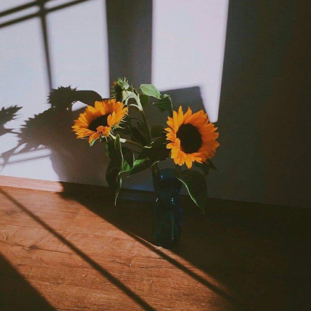 กลับมาเพื่อลาจากกันโดยสมบูรณ์.🌻🫥