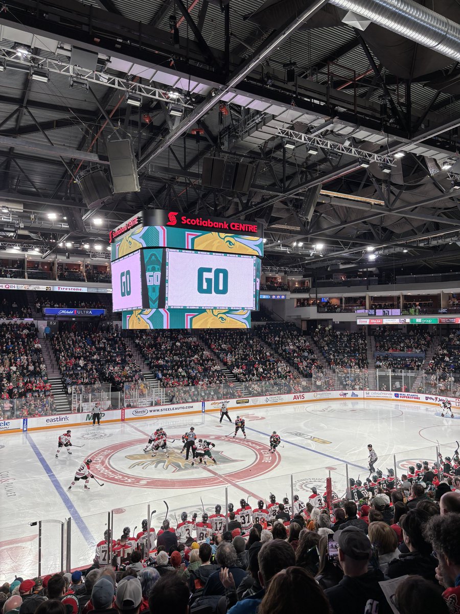 alangdon17's tweet image. R1G3 #GoMooseGo