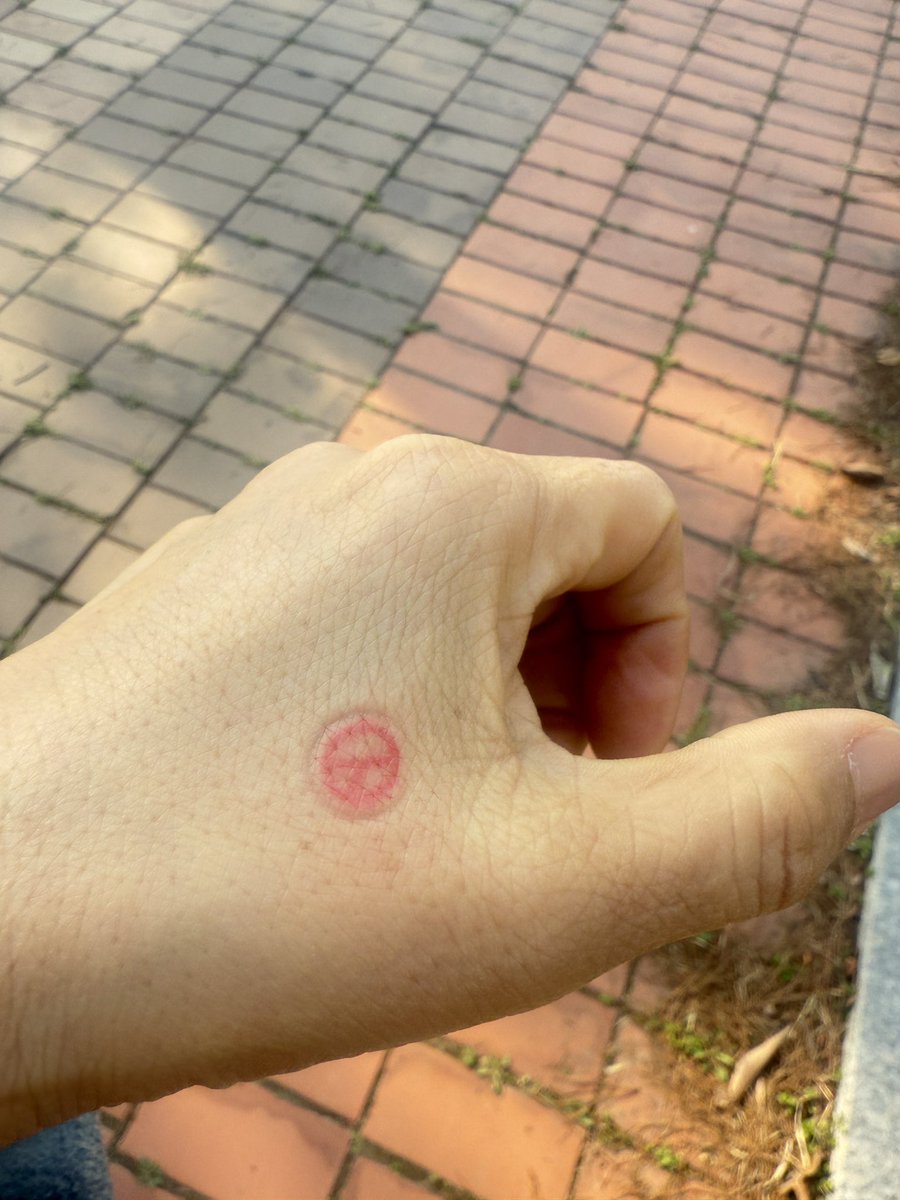 아산시장  투표하고  출근합니다
어른신들  많이  오셨네요
확신은  없지만  한표라도  보태기 위해~~