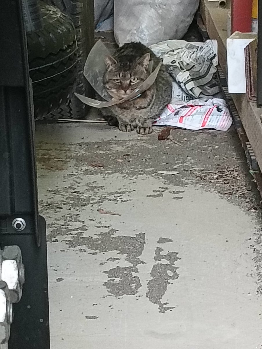 セルゥゥゥゥァァァァァ tweet media