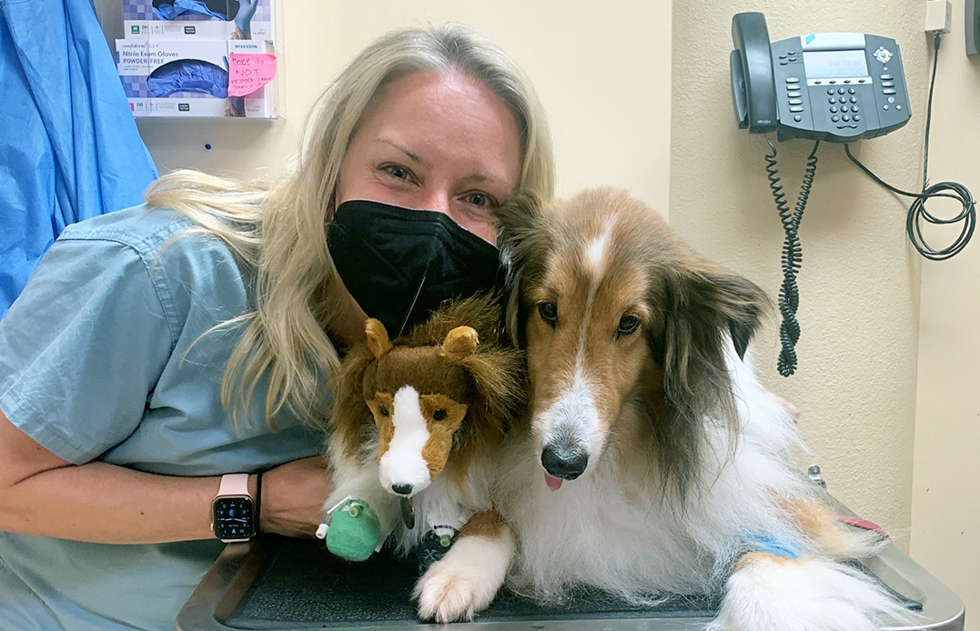 The Osteosarcoma Institute (@osinstitute) on Twitter photo Osteosarcoma affects both humans and dogs, and tumors can develop in similar ways, often arising in the growth plate and spreading to the lungs. Joelle Fenger, DVM, shares what pet parents need to know about canine osteosarcoma: osinst.org/fenger-canine
<a href="/EthosDiscovery/">Ethos Discovery</a> Osteosarcoma affects both humans and dogs, and tumors can develop in similar ways, often arising in the growth plate and spreading to the lungs. Joelle Fenger, DVM, shares what pet parents need to know about canine osteosarcoma: osinst.org/fenger-canine
<a href="/EthosDiscovery/">Ethos Discovery</a>