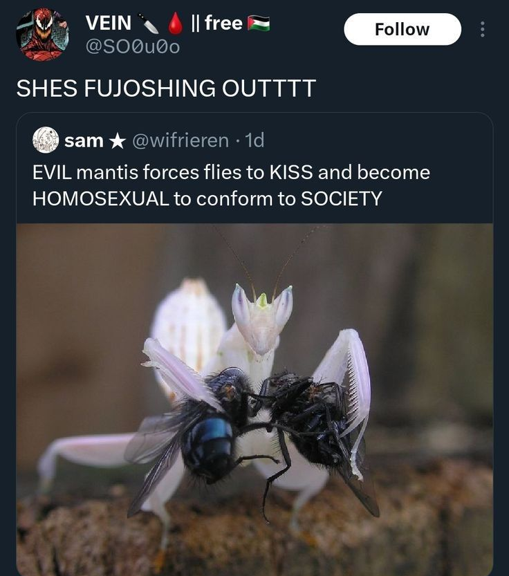 lgbtcuckporn 🧍‍♂️🛋️ 👩‍❤️‍💋‍👨 tweet media