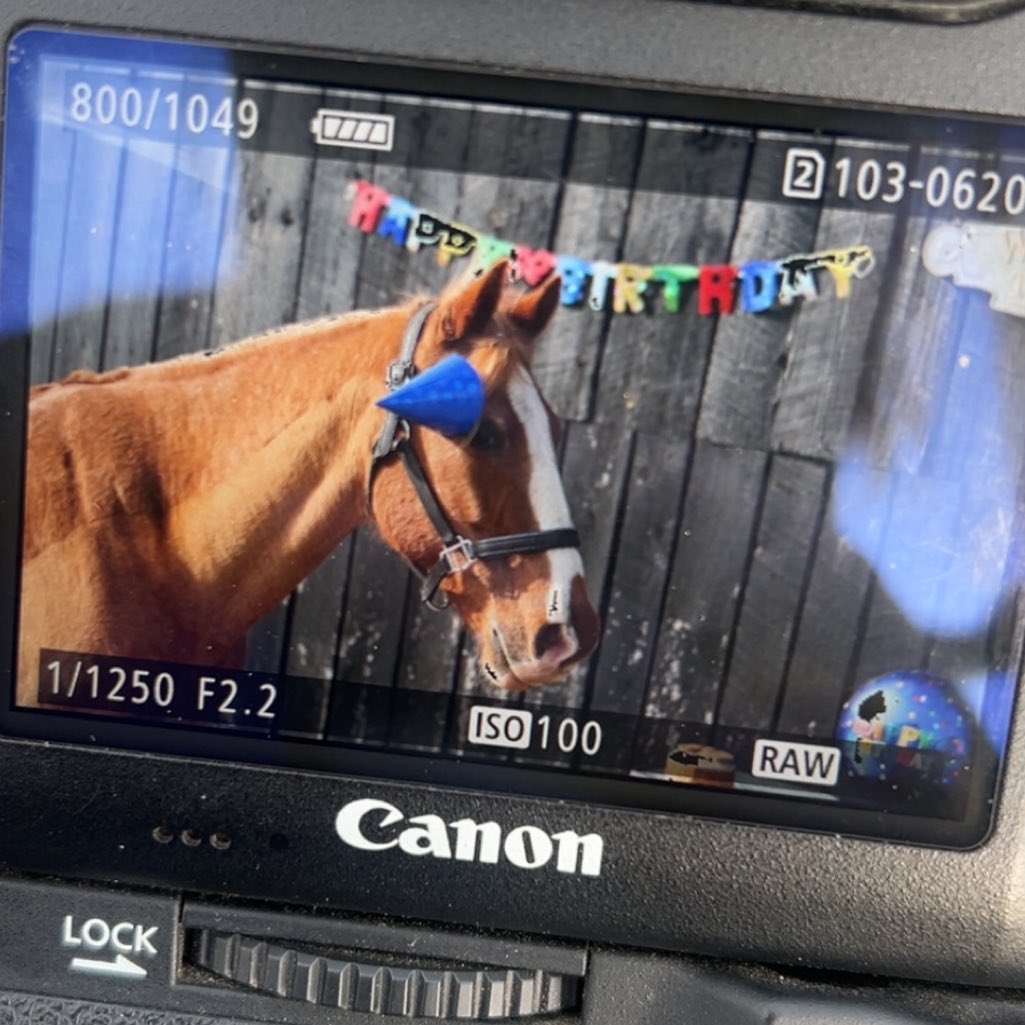 lc🏇🏼 tweet media