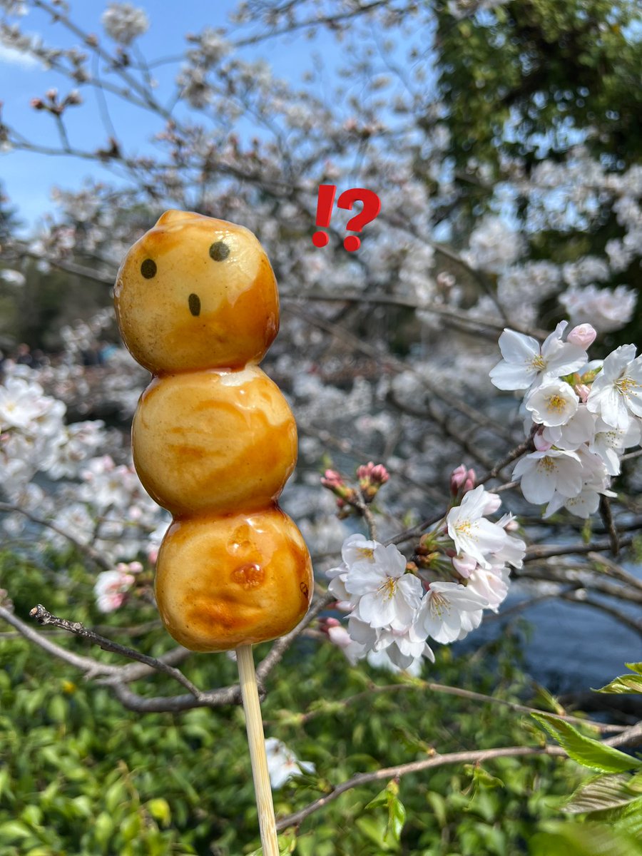 くま。 tweet media