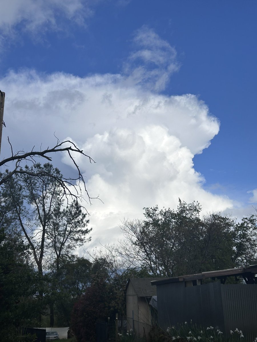 iii_evans23624's tweet photo. @ryanhallyall no chance of a tornado happening but a cool towering cumulonimbus in Northern California https://t.co/GO7cgbnx6i