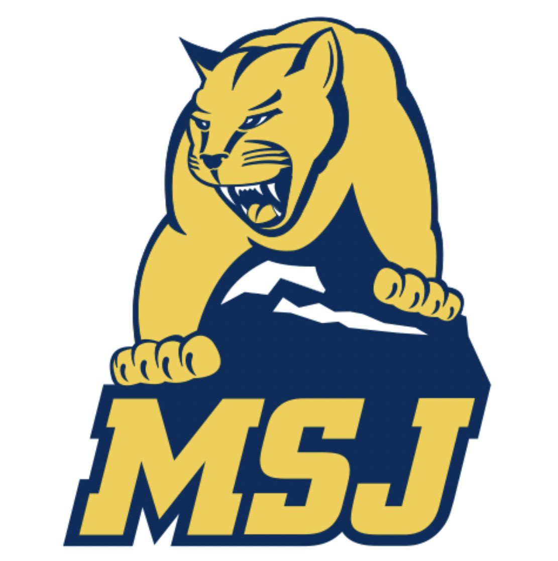 sam_trabelweir's tweet photo. Very grateful and blessed to be committed to @MSJ_FB!! #DEFENDtheMOUNT #MOUNTUP @coachtmsj @CoachHopperton @CoachHall34 @734Graphics https://t.co/27jNkTexXc
