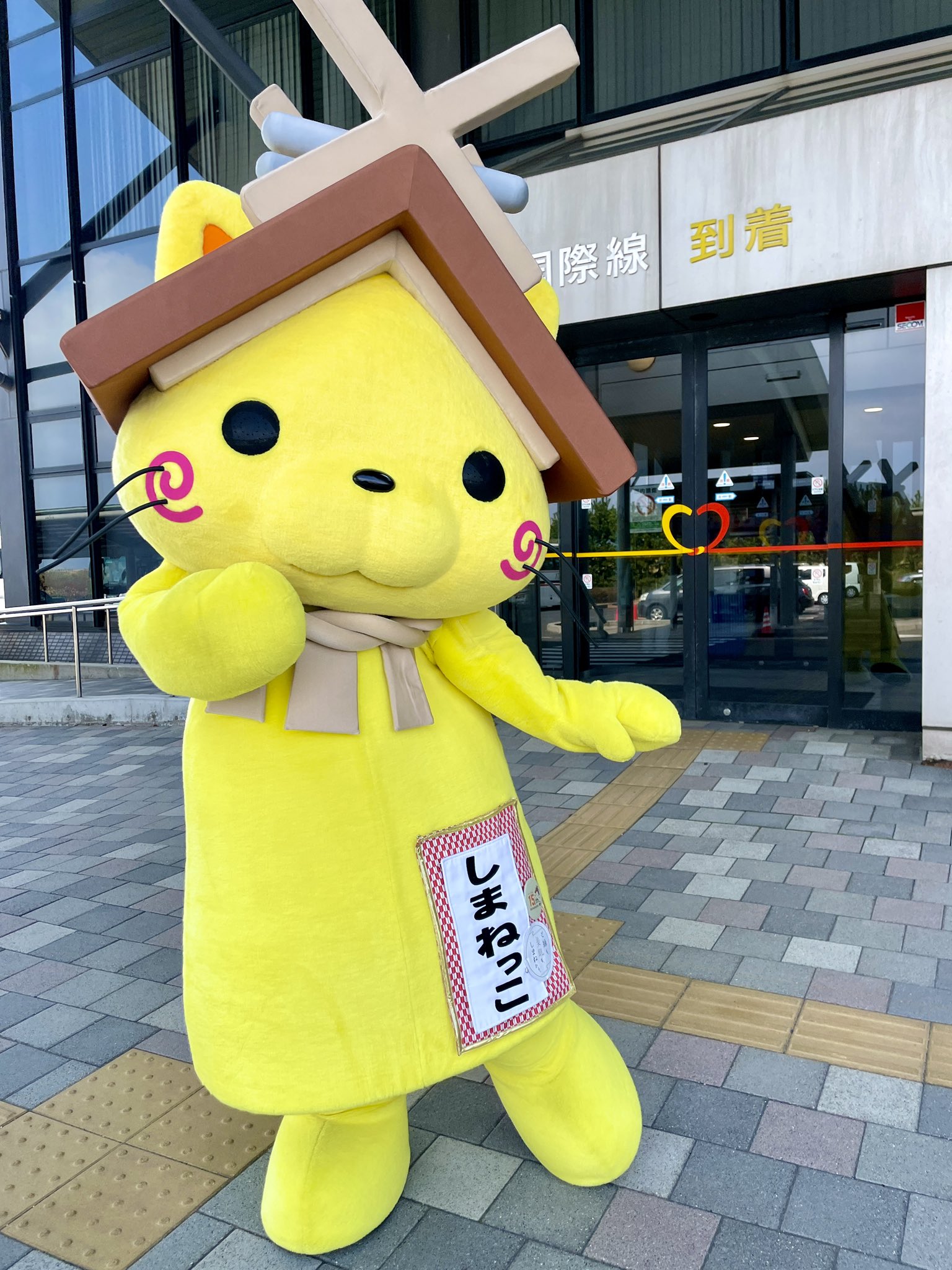 イーブイ🎶-みきゃん🍊不具合で返信できない時あり