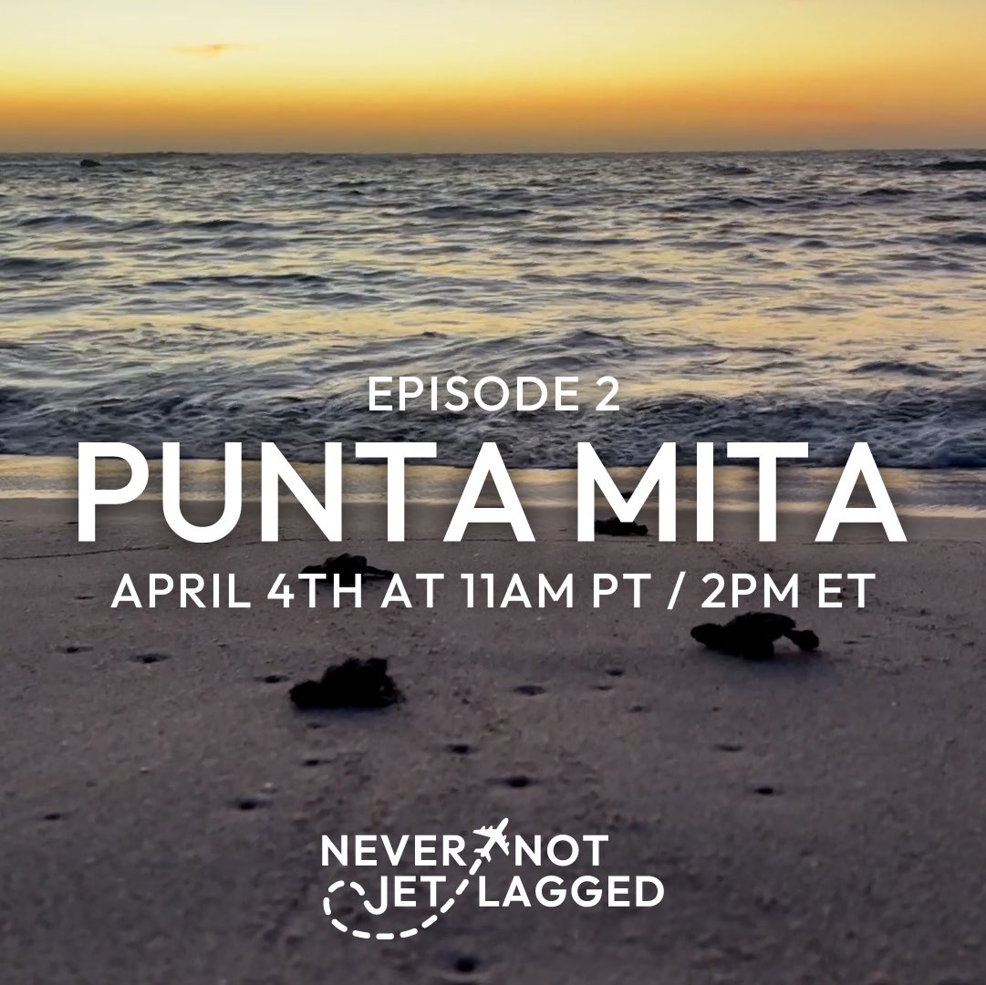 Episode 2 “Punta Mita” coming this Friday April 4th at 11am PT! Don’t miss it 🧳☀️🐢 youtube.com/@nevernotjetla…