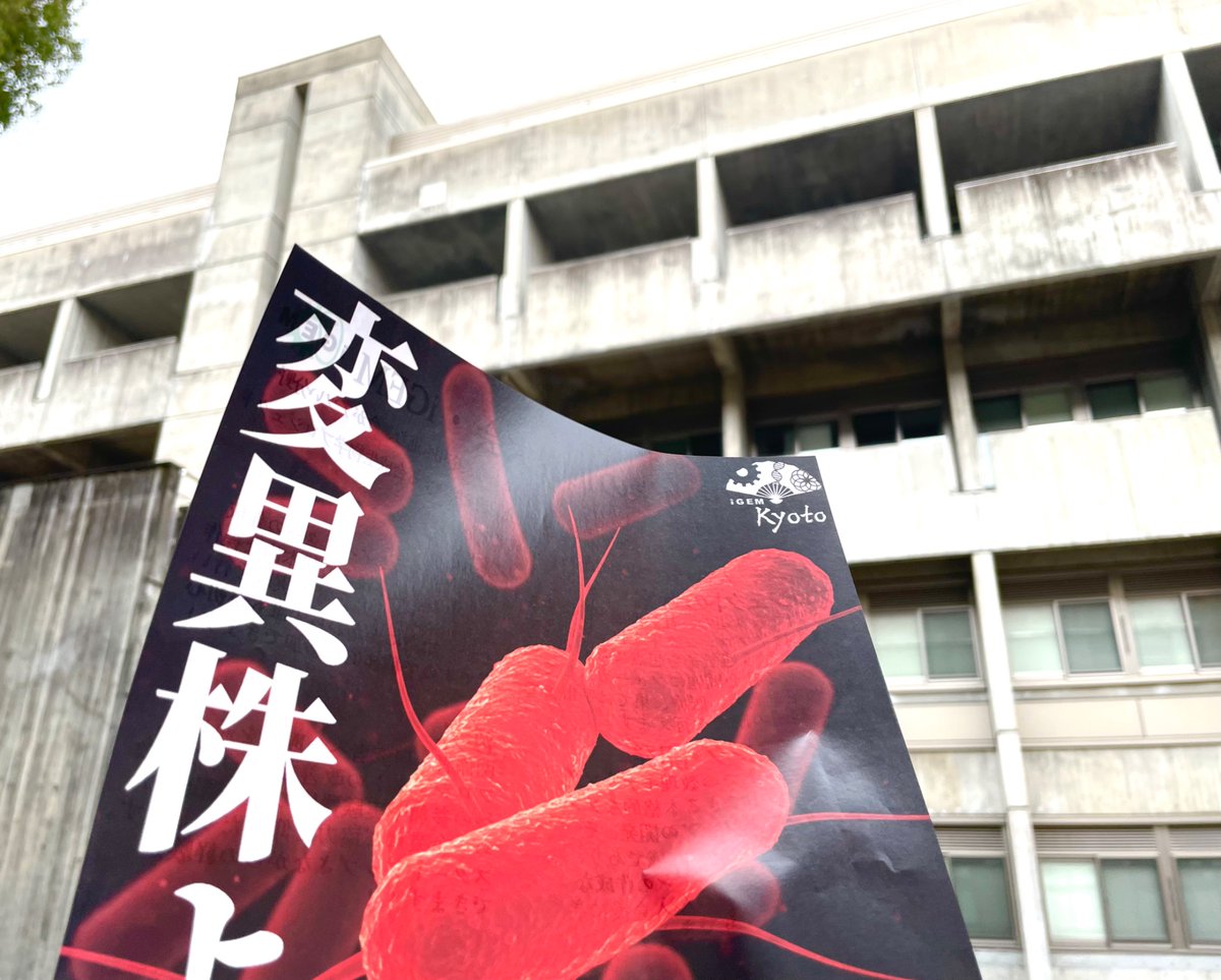 本日からビラロードに参戦中！
今日は経済学部棟前にいます！
みなさまとお会いできるのをお待ちしております！！
#春から京大