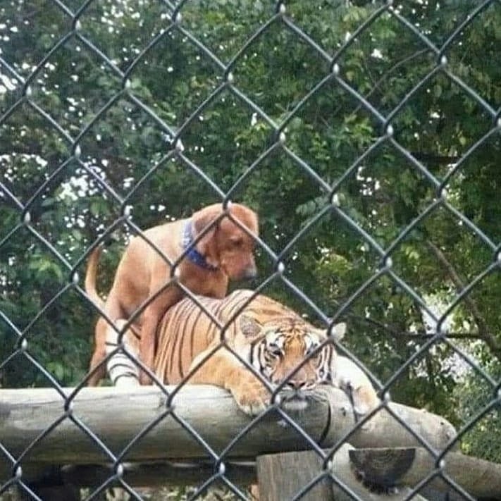 sin miedo al éxito.