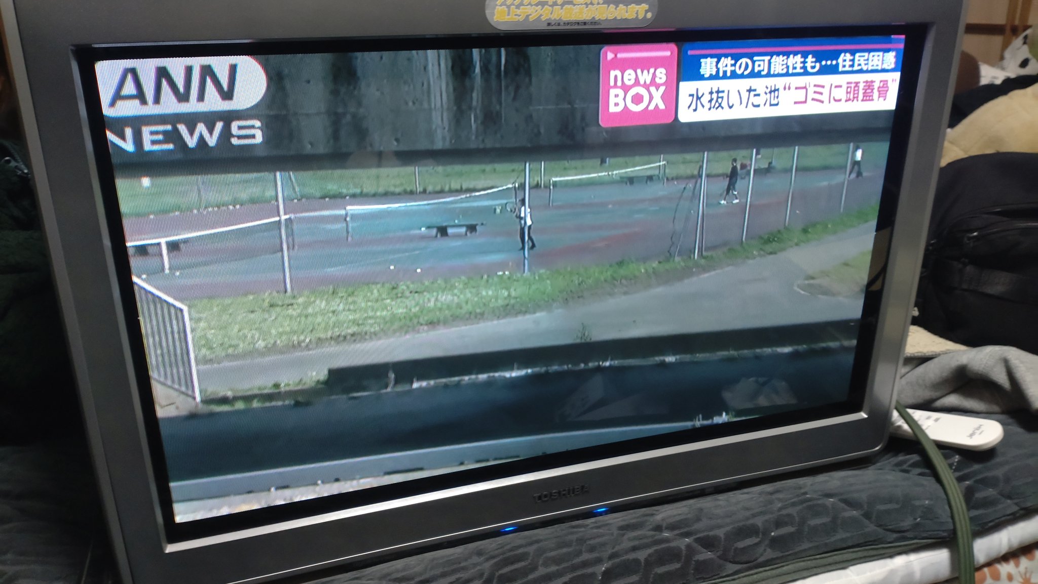 ちびっこ先生📺 on X: 