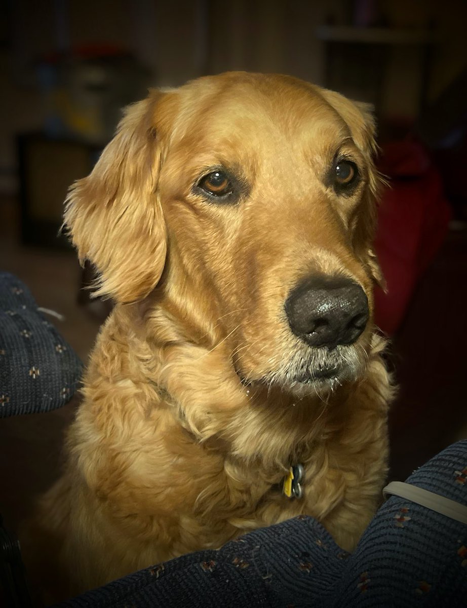 Jen Kish tweet media