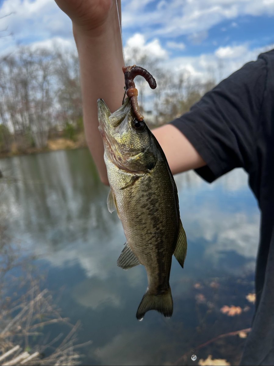 SoniaServpro3's tweet photo. Been catching hella fish #dudestuff https://t.co/ebxOLw8KXN