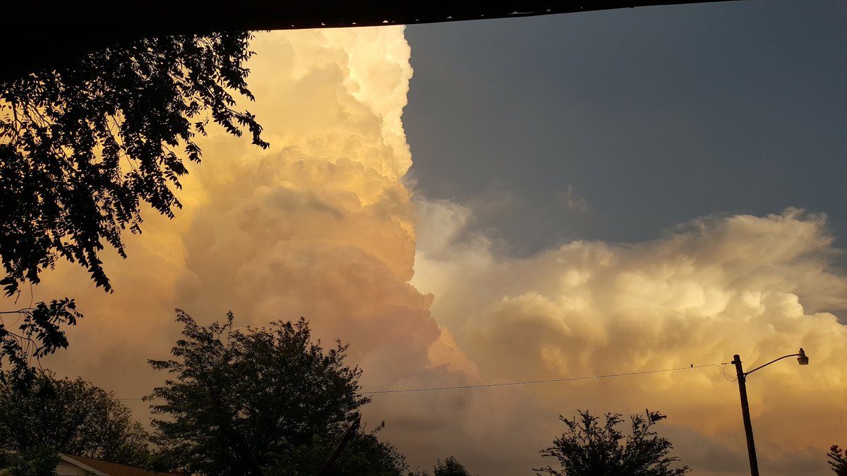 Athena Bella tweet media