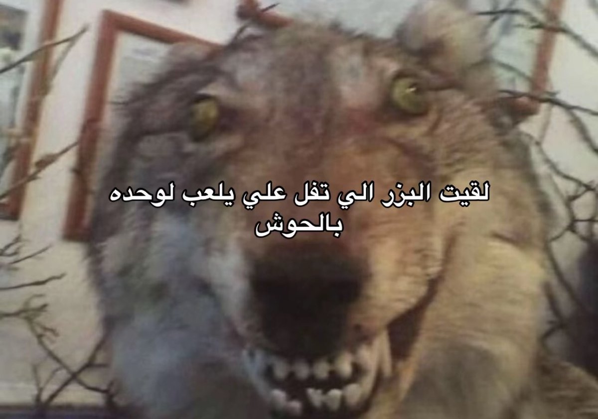 Hireda (@hireda4) on Twitter photo 