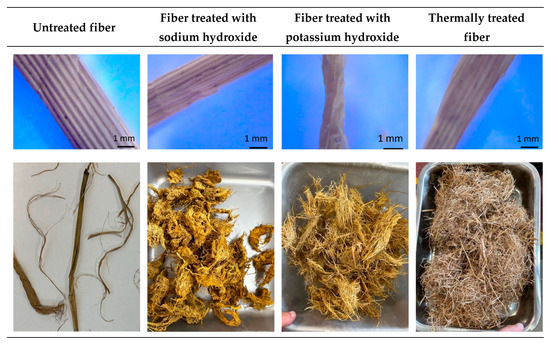 Fibers_MDPI tweet media