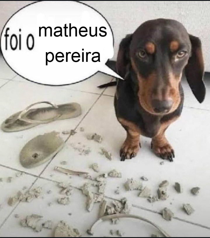 tomate com sal tweet media