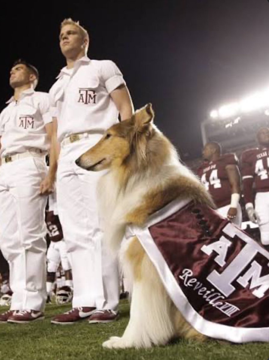 Domharris79's tweet photo. After a great conversation with @CoachCushing  I am blessed to receive an offer from @AggieFootball https://t.co/159MFYeKZp