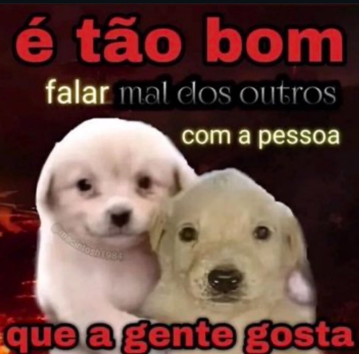 moreiraviw's tweet photo. https://t.co/QdjfwEikXq