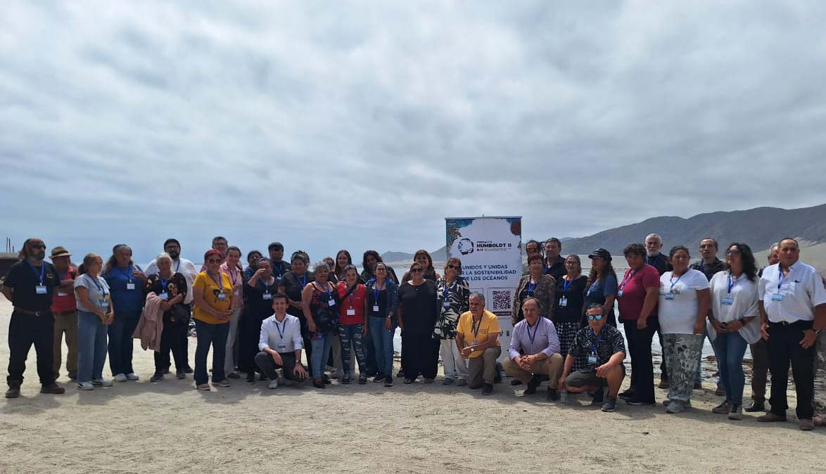 El procesamiento de algas para la producción de alginato abre nuevas oportunidades de desarrollo local.

En caleta Flamenco se realizó el primer taller del estudio de prefactibilidad para la instalación de una planta de alginato en la Región de Atacama.

Lee la nota: