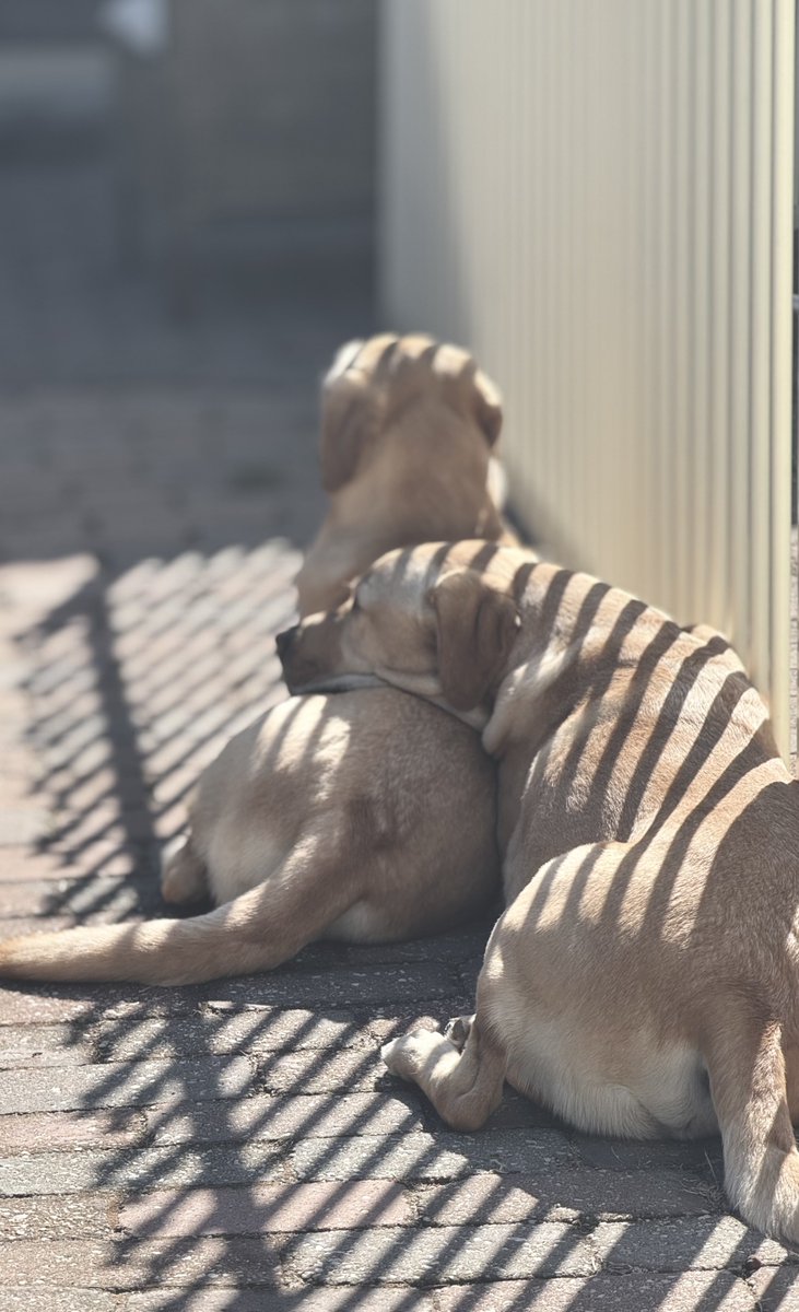 Side by side is sometimes enough