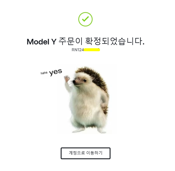 오늘은 고슴도치가 지배한다. #모델y