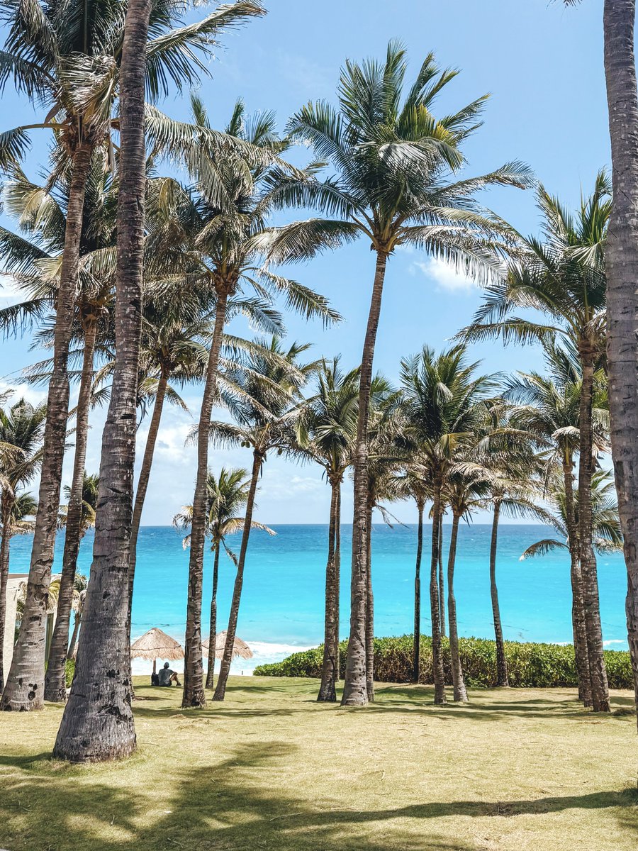 kay__1027's tweet photo. Stayed at @Westin Resort &amp; Spa for our trip to Cancun. The ocean front area with the beach and pools was gorgeous and the staff were super friendly! The rooms need an update though so I’ll give it a solid 4/5. #Cancun #Travel #Resort https://t.co/p9phJMGUqs