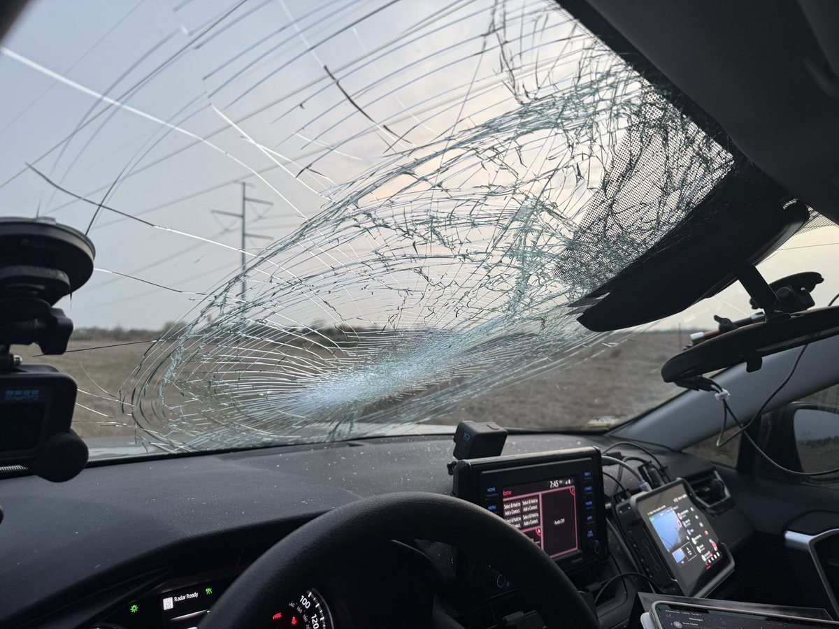 Just hit a turkey……