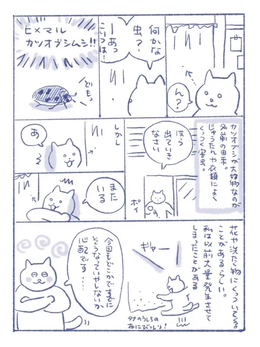 ヒメマルカツオブシムシ(再掲載)
#さくまのまんが 