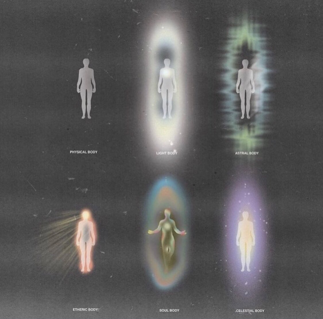occultbot tweet media