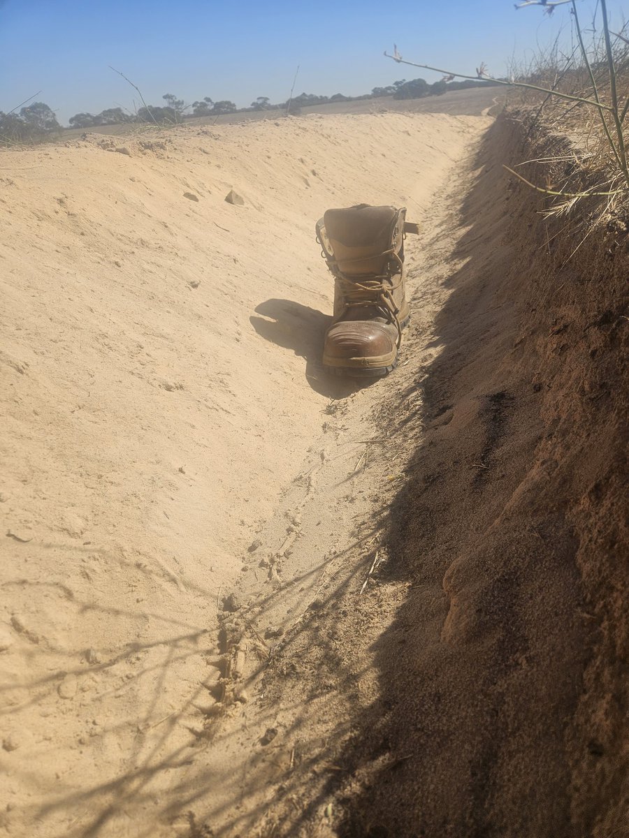 After the worst drought in living memory and taking a bit of time away from social media. Were busy on the farm plozza ploughing, and it's coming up a treat on very, very dry soils. Hope we are doing the right thing. Time will tell!