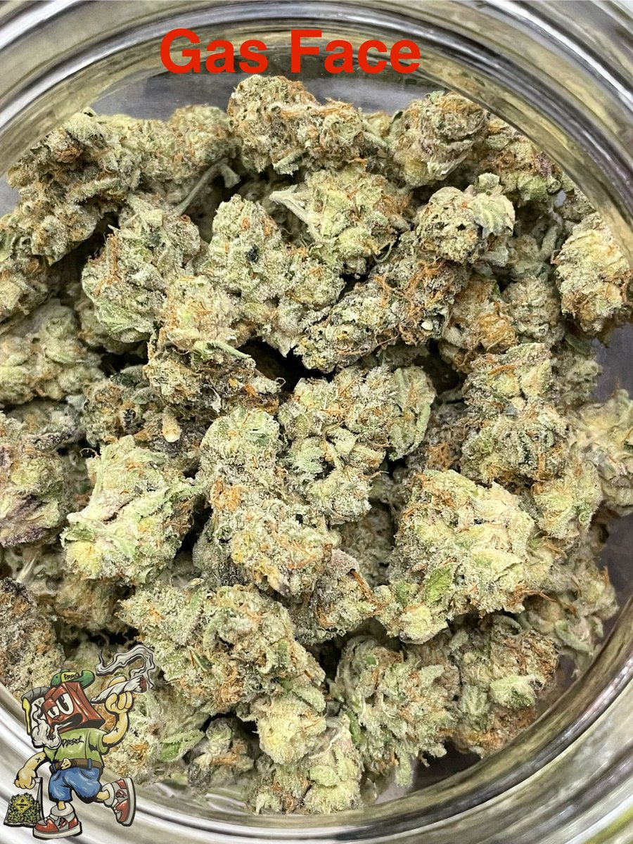 SuperiorKush11's tweet photo. My take on Gas Face from @CryptoChronicX 
When the lowest budget is this🔥you can only imagine how that top tier hits 👀 but seriously, regardless you’ll be blow away either way. They don’t have all these shout outs for nothing🍻💨
#WeedLovers #DDFam #Kush
https://t.co/0mE6U4t99k https://t.co/LVw5vUr8Vr