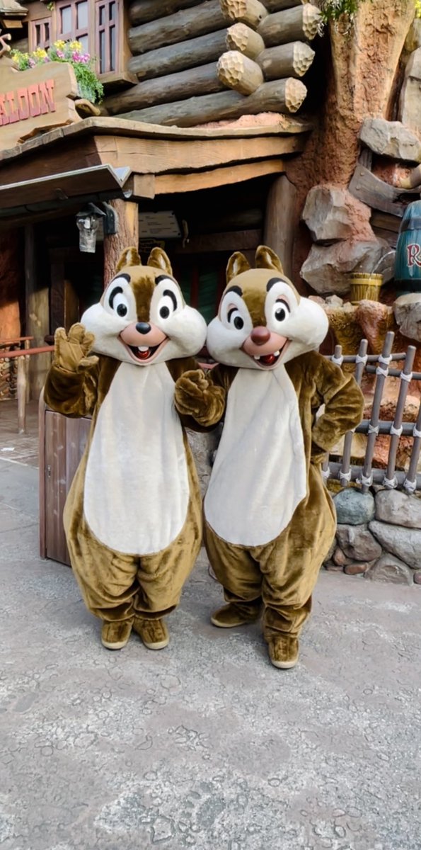 チップとデール🐿️🐿️
お誕生日おめでとう🎂
いつも沢山しあわせな気持ちにしてくれてありがとう☺️
ふたりのことが大好きだよ♡

#チップとデールスクリーンデビュー
#チップとデール生誕祭