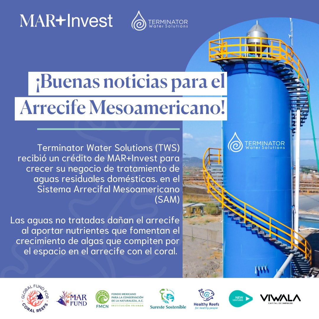 MAR_Fund's tweet photo. ¡Buenas noticias para el arrecife! Terminator Water Solutions recibió un crédito gestionado por #Viwala con financiamiento concesional de
@GlobalFundCoral, en coinversión con recursos del sector privado💧 para más info visita https://t.co/t5m5ULDwO1
#MARInvest #TratamientoDeAgua https://t.co/e8jZh7ZFhr
