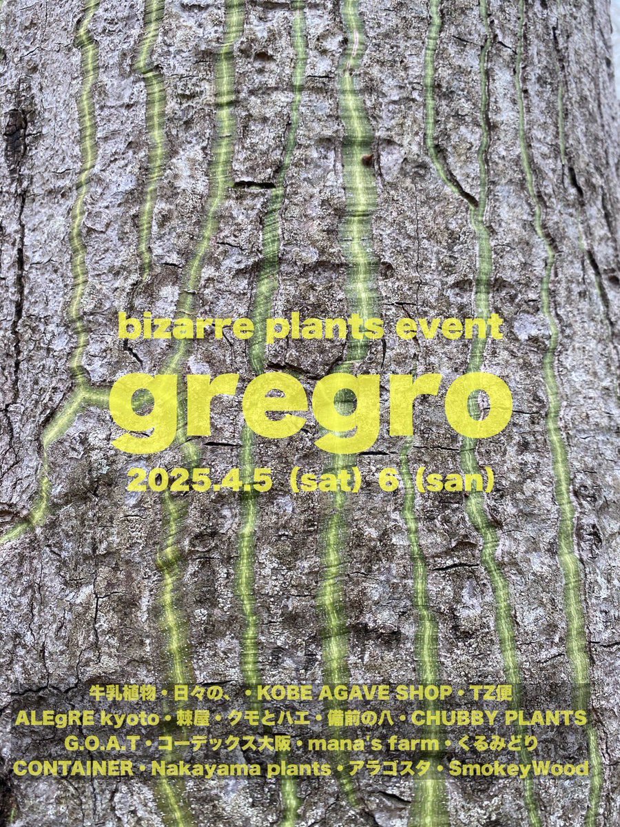 gregro2025Spring
世界から集められた植物とその関連グッズを販売するイベントをCASOで今週末開催します。
飲食も充実しているので家族でも一日楽しめます
4月5日（土）11時〜17時
4月6日（日）10時〜16時
入場料500円（中学生以下無料）
シーサイドスタジオCASO
大阪市港区海岸通二丁目7-23