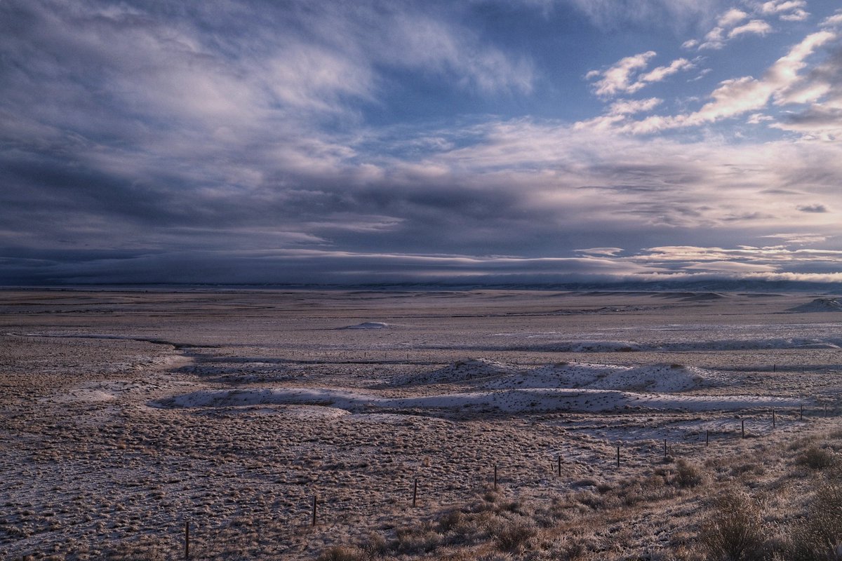 And I can hear the wild wind howling 
And I can feel it in my bones 
And I know that the howling will take me home