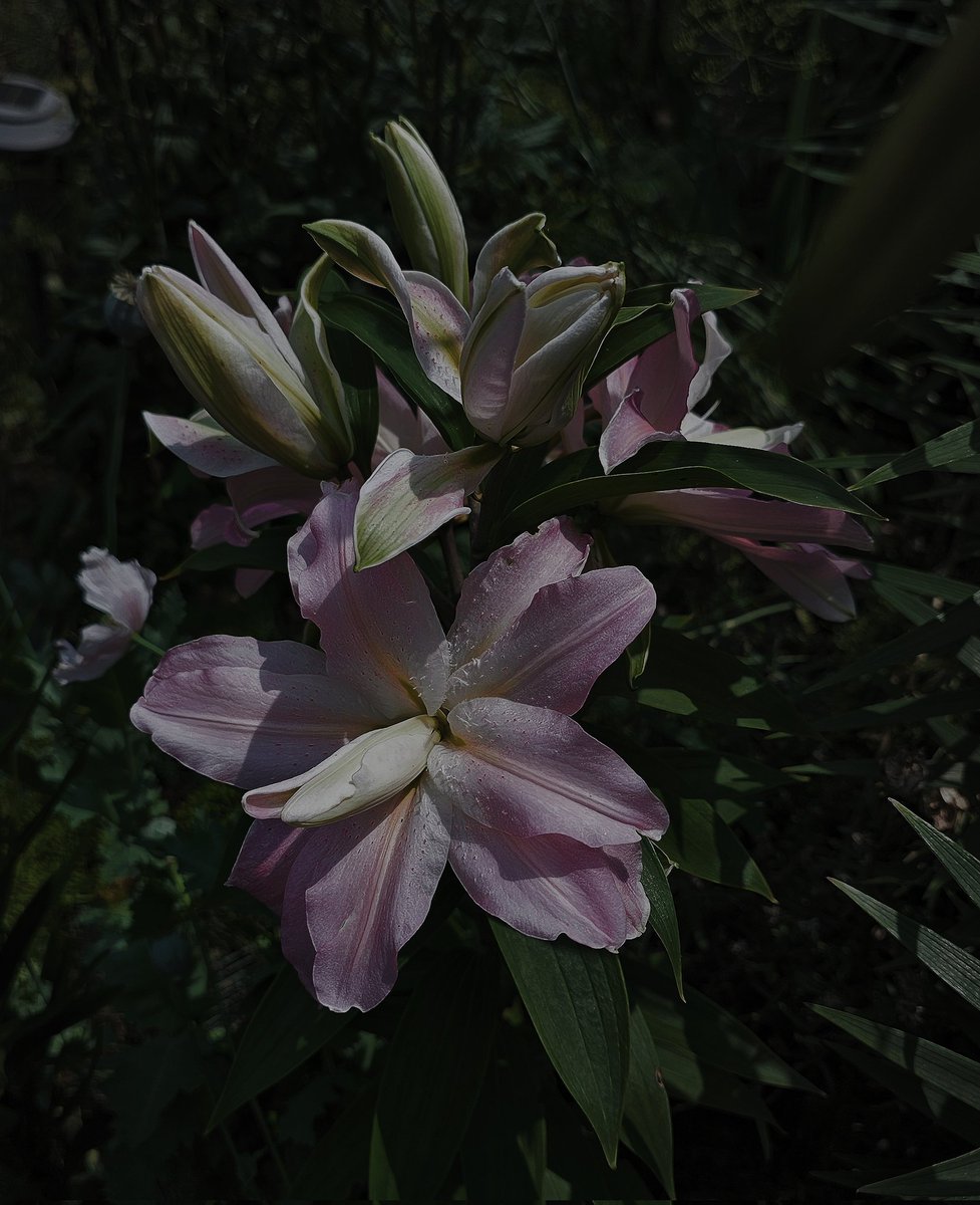 dma3rd's tweet image. 