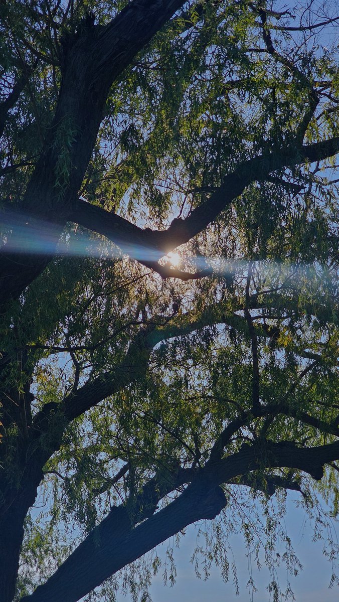 dma3rd's tweet image. 