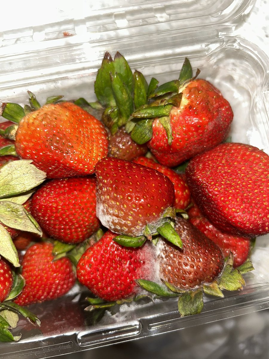 Oliviakirsten tweet media