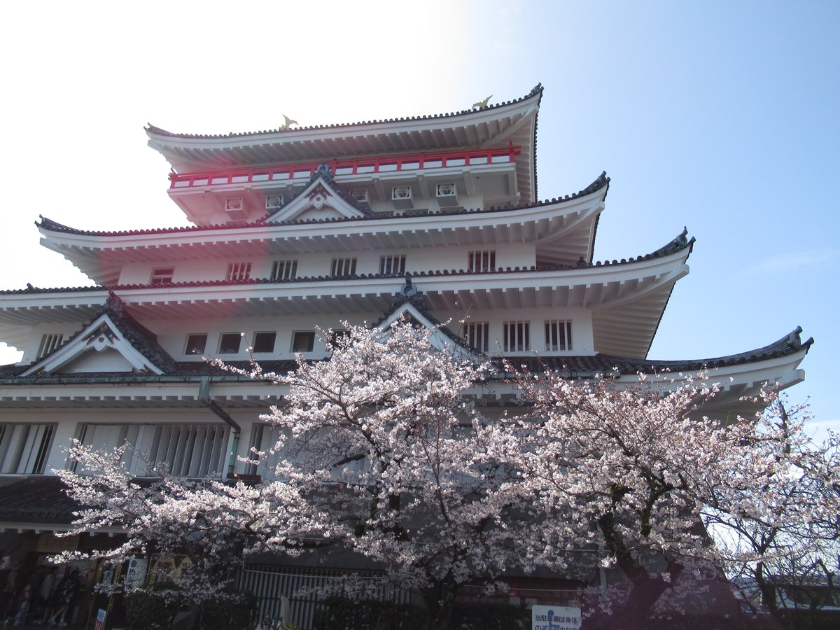AtamiCastle's tweet image. 熱海城さくら開花状況です。本日お城の前は5分咲きから満開に近いです。庭園は手前4分咲き奥は2分咲きです。 夜桜営業は庭園の桜がなかなか咲かない為今週後半あたりからになりそうです。#熱海城 #熱海 #開花 #桜 #さくら #夜桜 #ソメイヨシノ #Atami #sakura #Atamicastle