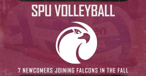 The SPU volleyball team welcomes seven new players coming in for the 2025 season, and all of them from the Northwest.

READ | tinyurl.com/2rt49pvr

#GoFalcons