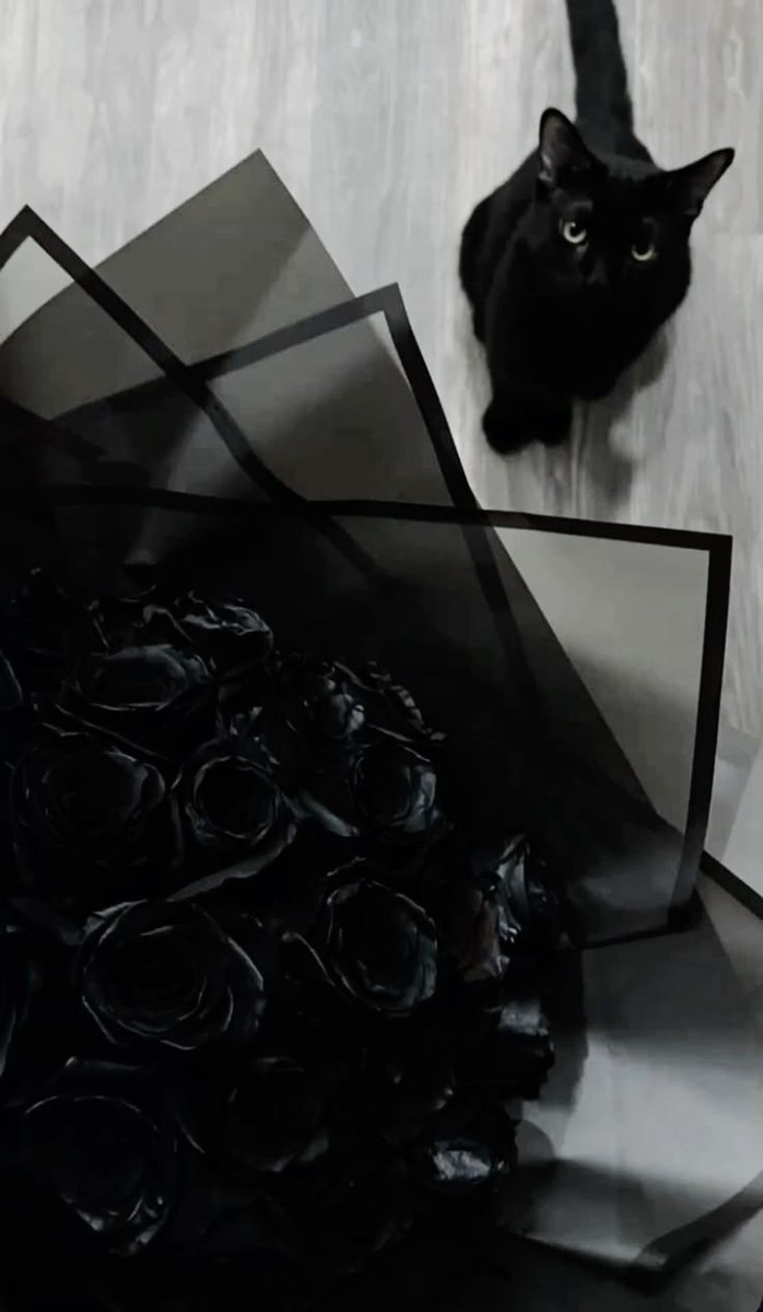 blackvibe's tweet photo. https://t.co/sIM05mSCnJ