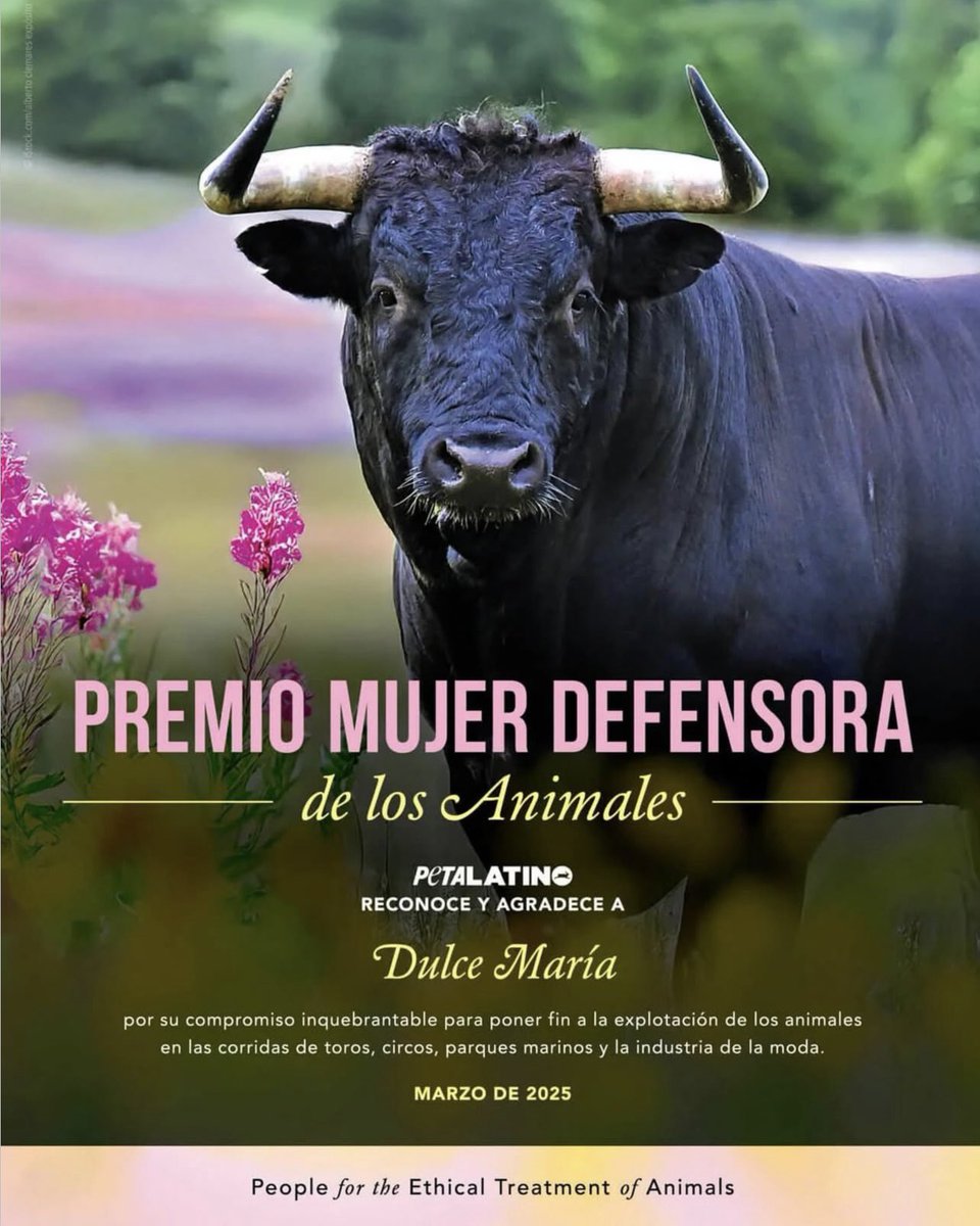 ORGULHO! 

Dulce María recebe reconhecimento ‘Mujer Defensora de Los Animales’ da ONG <a href="/peta/">PETA</a> 

“Peta Latino reconhece e agradece a Dulce María por seu compromisso inabalável de acabar com a exploração de animais em touradas, circos, parques marinhos e indústria da moda.”