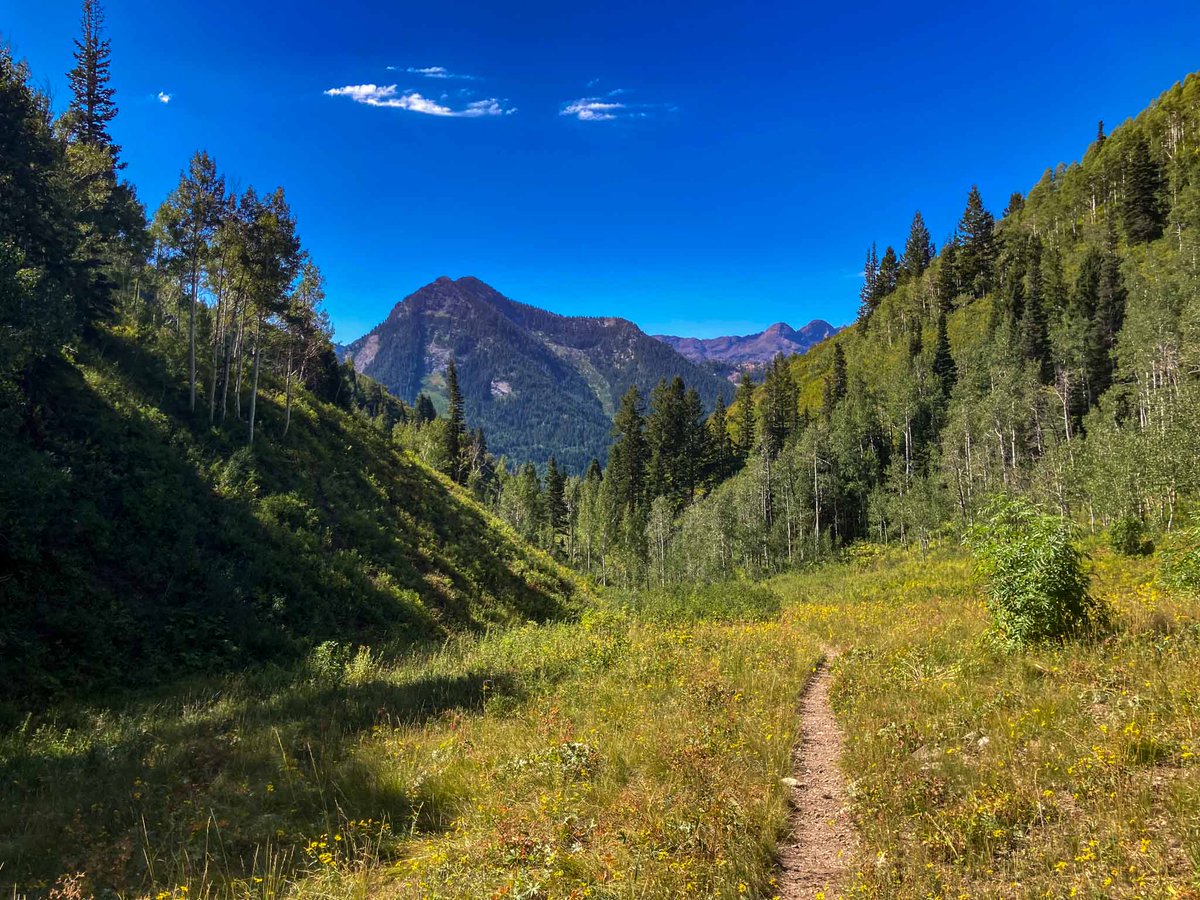 Utah Peaks, Waterfalls, Historic Sites, & Outdoors tweet media