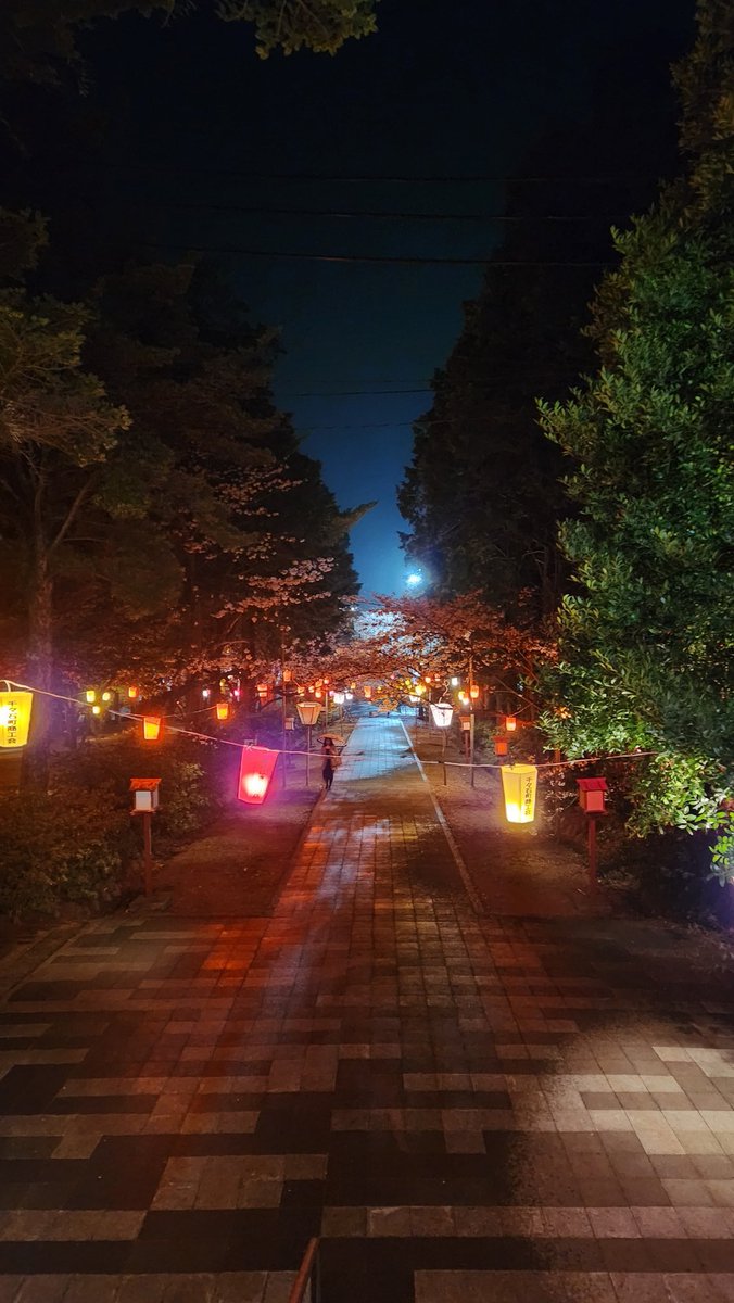 jenguel_'s tweet photo. Hafif yağmur altında chill akşam yürüyüşü.. 02.04.2025 #nagasaki #kyushu https://t.co/LscyloApHQ