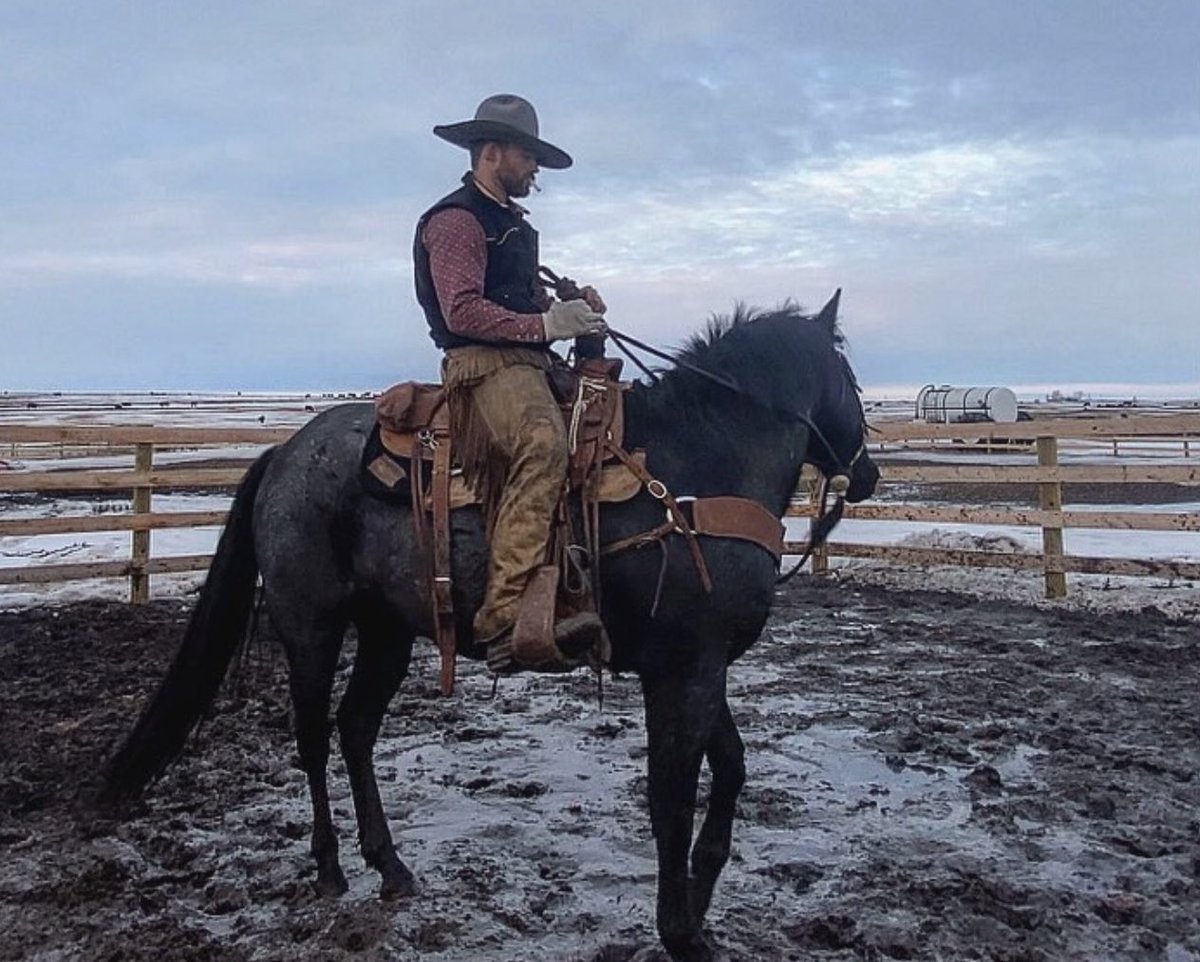 Got myself a colt from a neighbour to put some miles on about a month ago…the big baby roped his first calves today