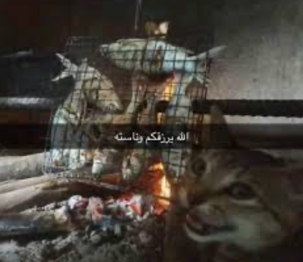 Moonchild_Iv's tweet photo. @boyyinbubble والله صدق الحمدلله على نعمة الاصدقاء https://t.co/87SGySXp82