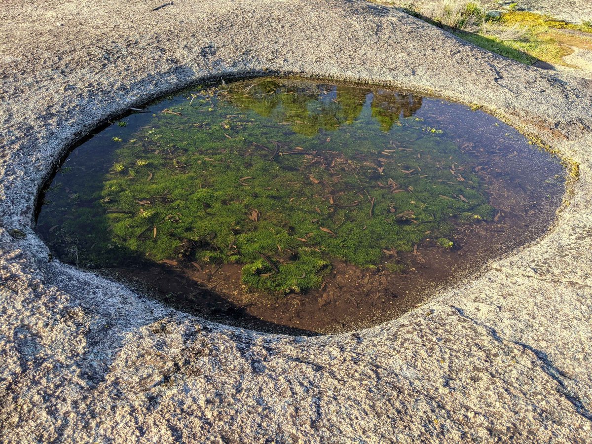 RBGV Science tweet media