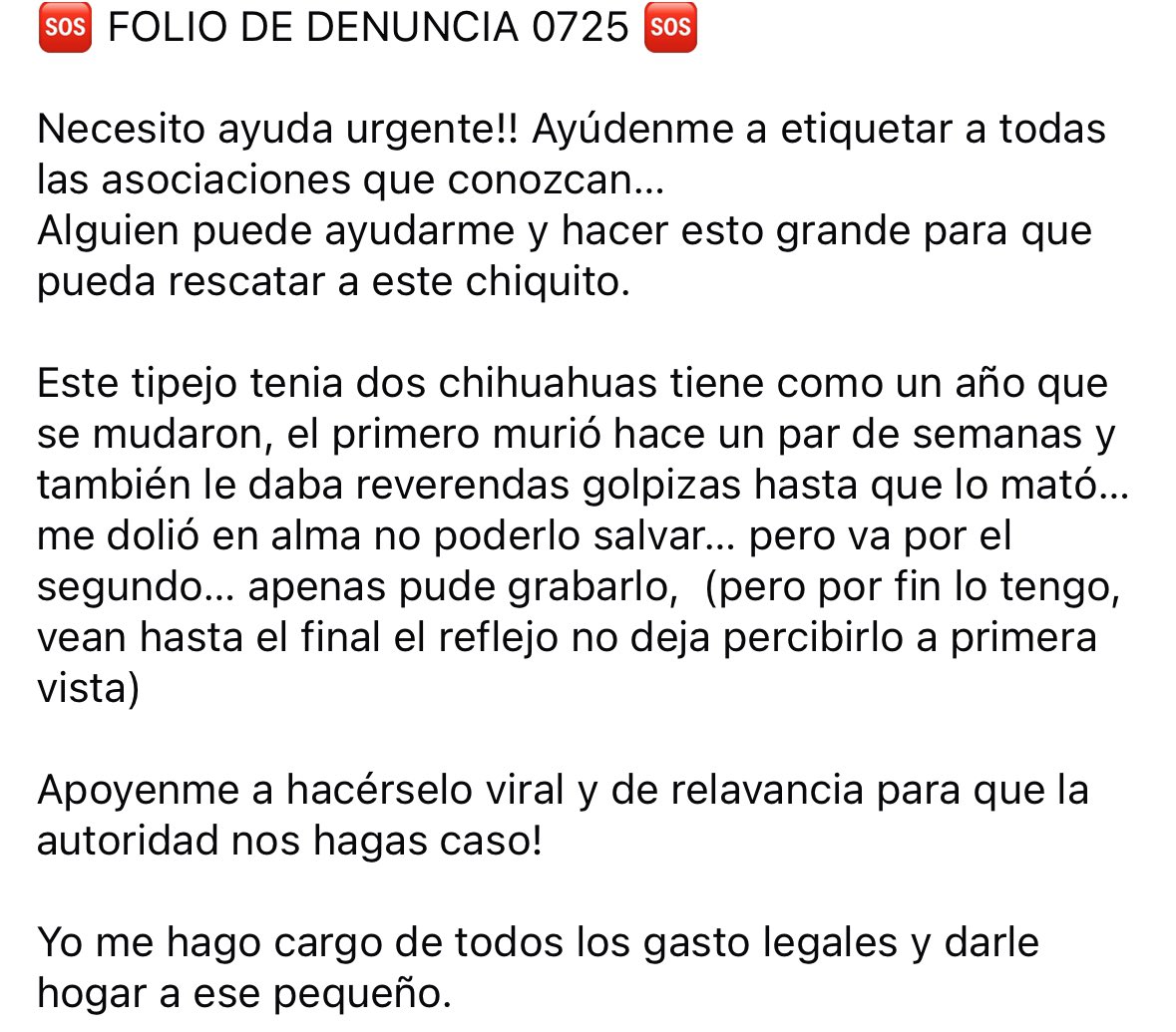 Annaglez13's tweet photo. @propaem_sma @MaltratoAni @RescateAnimal @sereslibres_mx @canhijos_ https://t.co/N3KGOySWVr