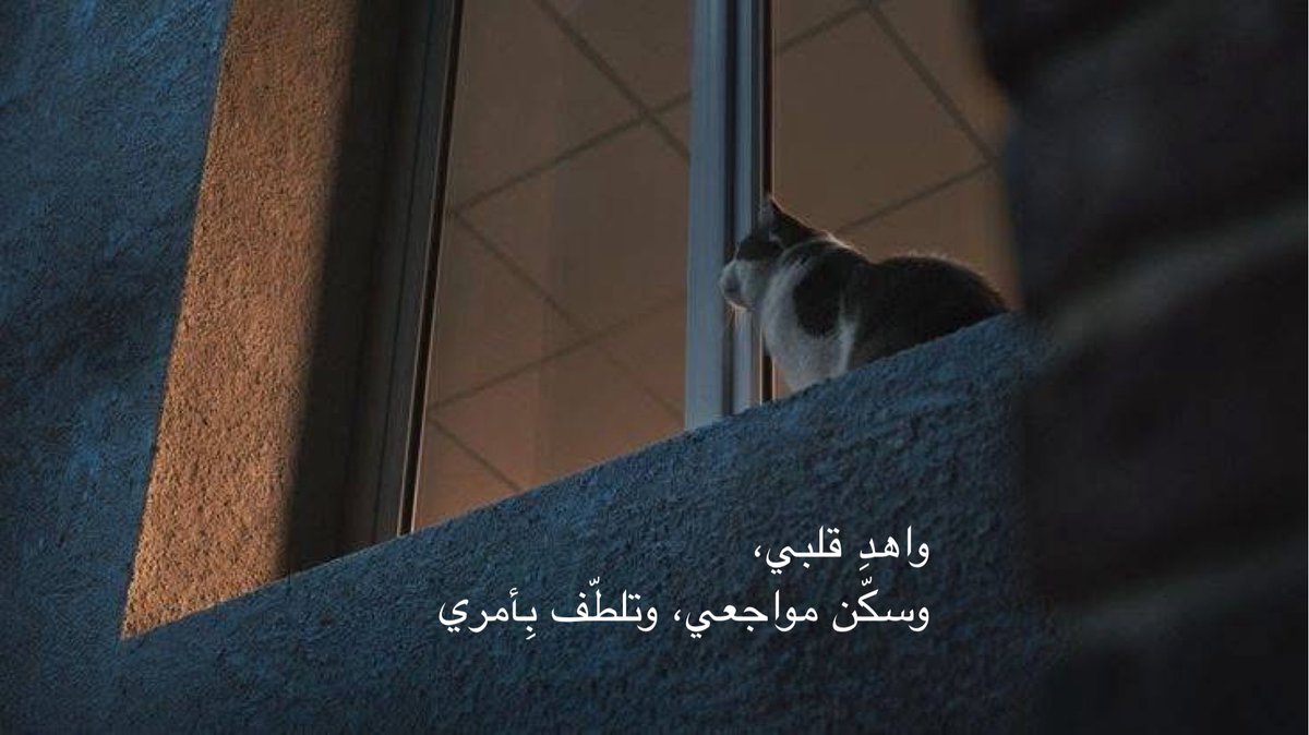 يقين (@wctm5_) on Twitter photo 